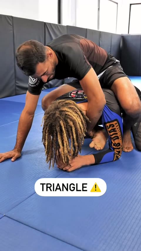 Triangle from turtle position